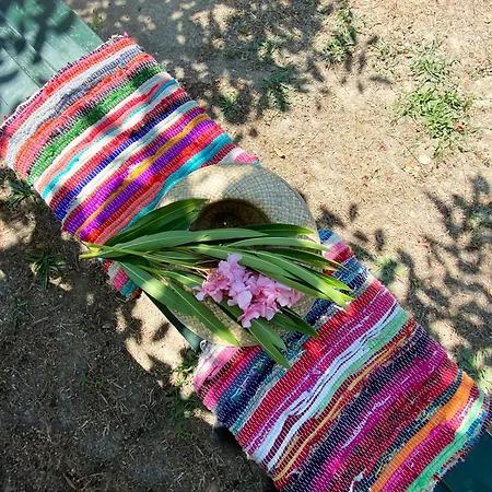 Posidi Studios 公寓 *