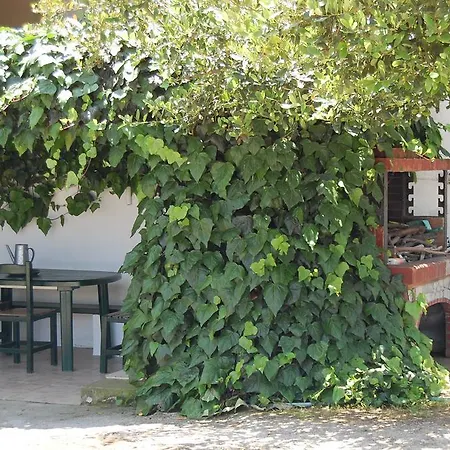 Posidi Studios 公寓 波塞蒂