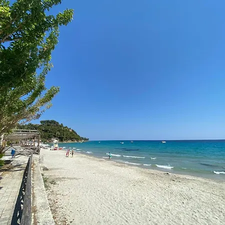 Posidi Studios Possidi