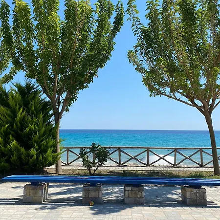 Posidi Studios 포씨디