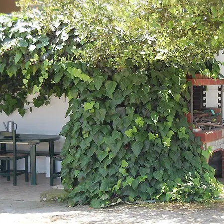 Posidi Studios דירה פוסידי