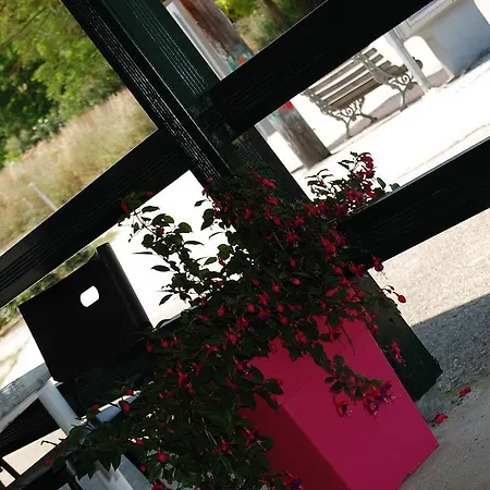 Posidi Studios Possidi