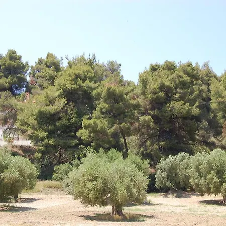 דירה Posidi Studios *
