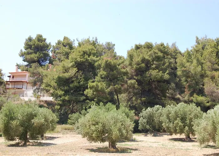 Διαμέρισμα Possidi Studios *