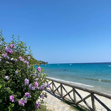 Apartamento Posidi Studios *